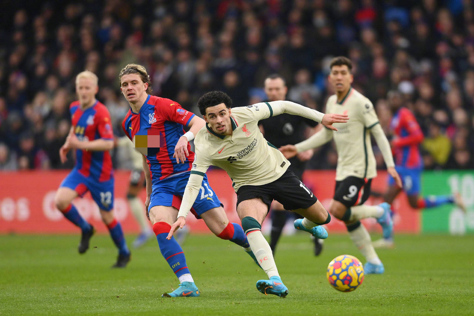 全国游泳锦 全国游泳锦